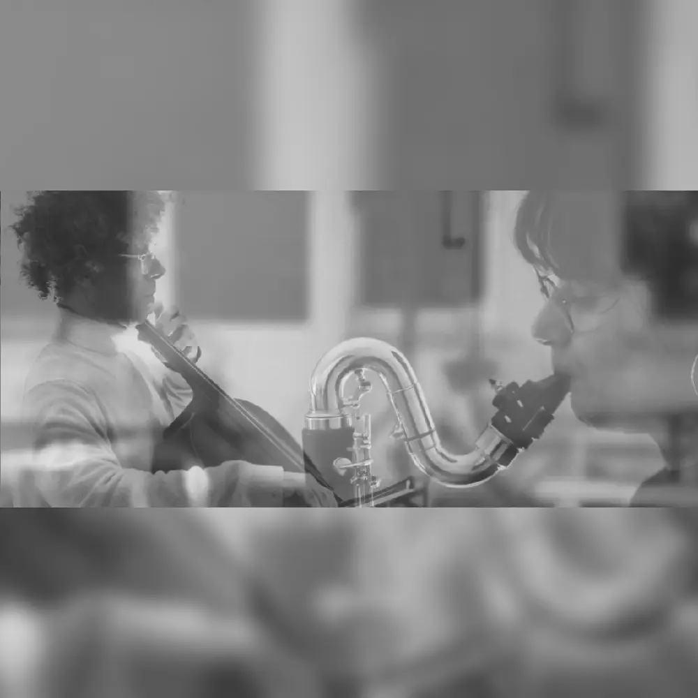 Two duos featuring cello and bass clarinet